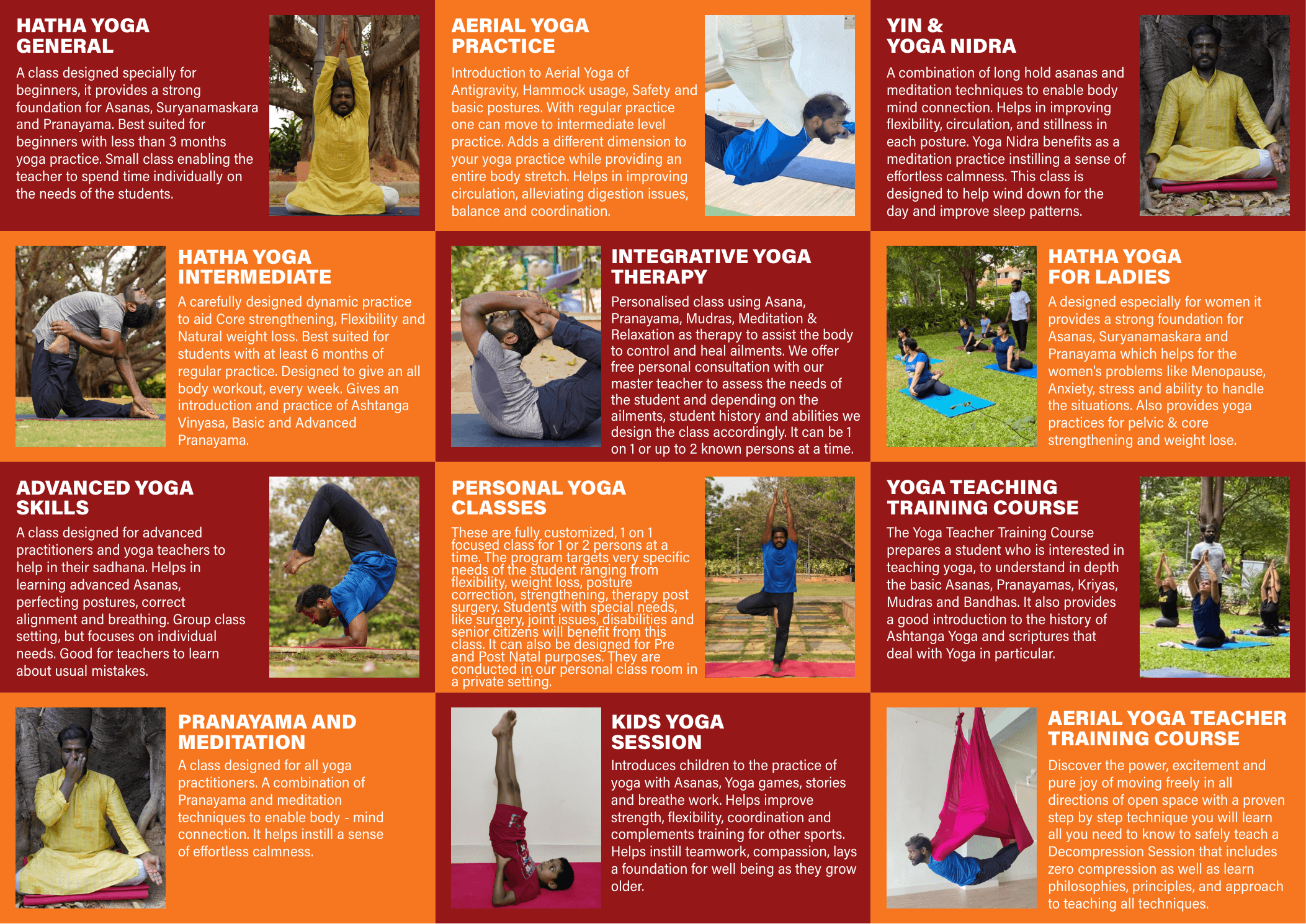 Brochure inner page with detailed course offerings and identity system